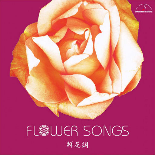 日本电影在叔母家做客
